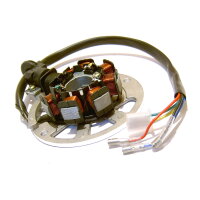 Lichtmaschinen Stator / Ankerplatte 6 Kabel 2-Takt  50ccm...